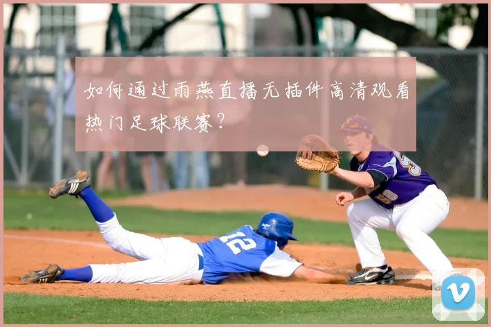 如何通过雨燕直播无插件高清观看热门足球联赛？