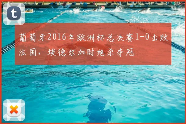 葡萄牙2016年欧洲杯总决赛1-0击败法国，埃德尔加时绝杀夺冠